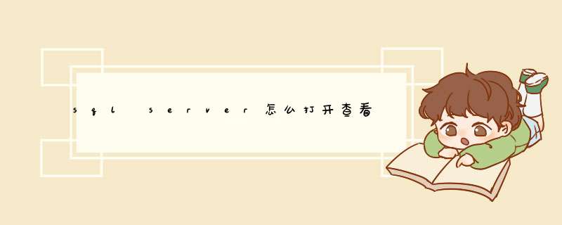 sql server怎么打开查看报表